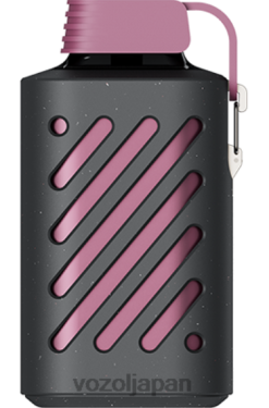 VOZOL Flavours パッションフルーツ ラズベリー タンジェリン | VOZOL GEAR 10000 206V6300