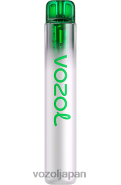 VOZOL Flavours ぶどう氷 | VOZOL NEON 800 206V6248