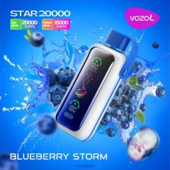 VOZOL Flavours ブルーベリーの嵐 | VOZOL STAR 20000 206V6400