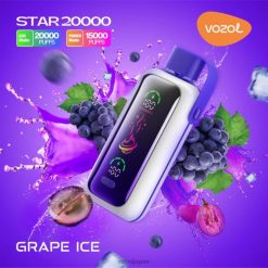 VOZOL Flavours ぶどう氷 | VOZOL STAR 20000 206V6404