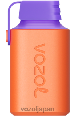 VOZOL Japan ライチ グアバ スイカ | VOZOL GEAR 600 206V6353