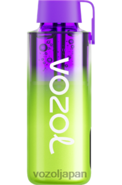VOZOL Japan スイカ氷 | VOZOL NEON 10000 206V6241