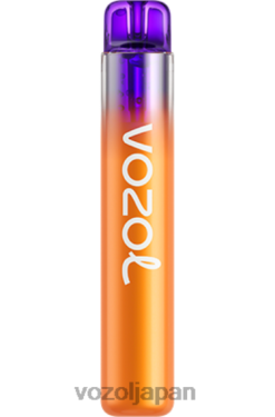 VOZOL Japan ピーチ・マンゴー・スイカ | VOZOL NEON 800 206V6253
