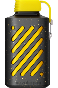 VOZOL Puff キウイ パッション フルーツ グアバ | VOZOL GEAR 10000 206V6295