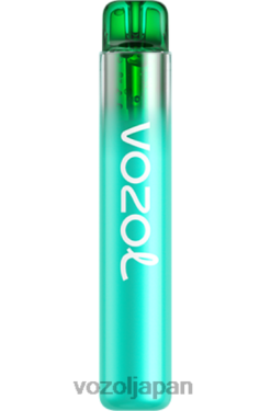 VOZOL Puff ミスターブルー | VOZOL NEON 800 206V6251