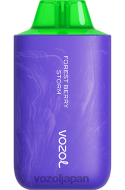 VOZOL Puff 森のベリーの嵐 | VOZOL STAR 6000/8000 v2 206V659