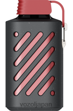VOZOL Vape ドラゴンフルーツ バナナ チェリー | VOZOL GEAR 10000 206V6290