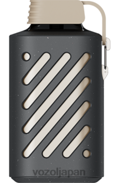 VOZOL Vape ピーチマンゴースムージー | VOZOL GEAR 10000 206V6302