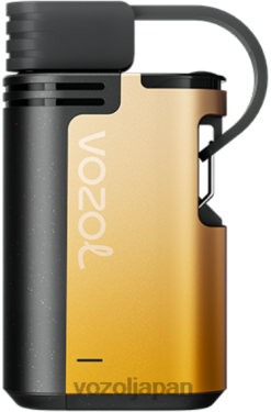 VOZOL Vape キウイ パッション フルーツ グアバ | VOZOL GEAR 4000c/6000 206V6326