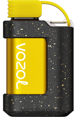 VOZOL Vape グランドマスタータバコ | VOZOL GEAR 7000 206V6334