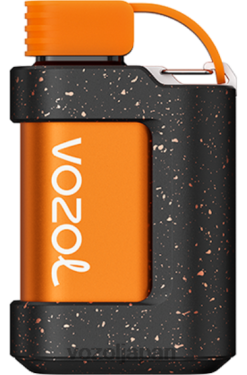 VOZOL Vape ピーチマンゴースムージー | VOZOL GEAR 7000 206V6338
