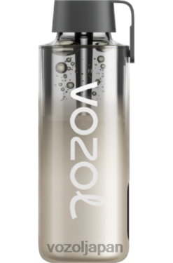 VOZOL Vape ブラックベリーの嵐 | VOZOL NEON 10000 206V6230