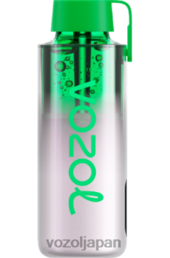VOZOL Vape ぶどう氷 | VOZOL NEON 10000 206V6234