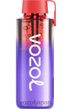 VOZOL Vape ブラックベリーアイス | VOZOL NEON 10000 206V6242