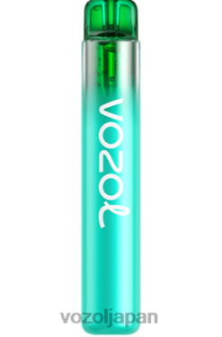 VOZOL Vape ブルーベリー 酸っぱいラズベリー | VOZOL NEON 800 206V6246