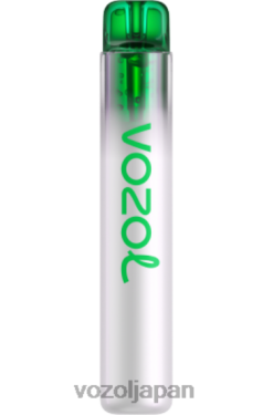 VOZOL Vape レモンモヒート | VOZOL NEON 800 206V6274