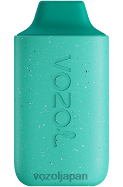 VOZOL Vape クールミント | VOZOL STAR 6000 206V6110