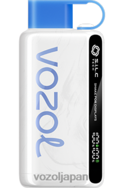 VOZOL Vape ブルーベリーの嵐 | VOZOL STAR 9000/12000 206V622